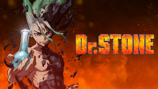 capa dr stone